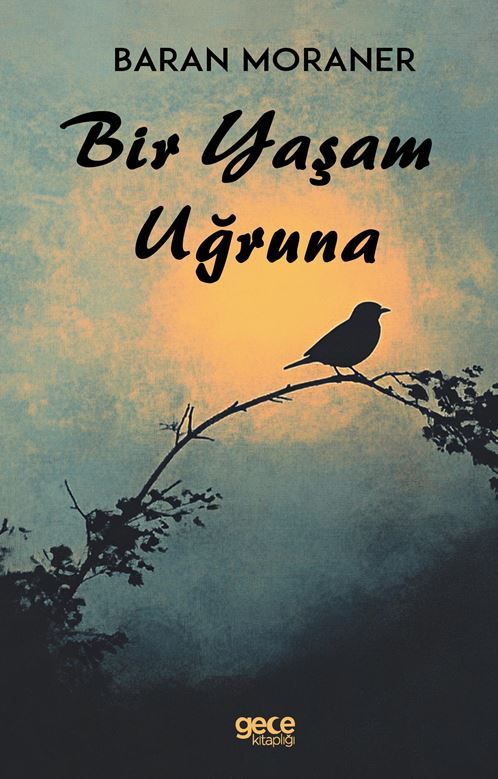 Bir Yaşam Uğruna kapağı