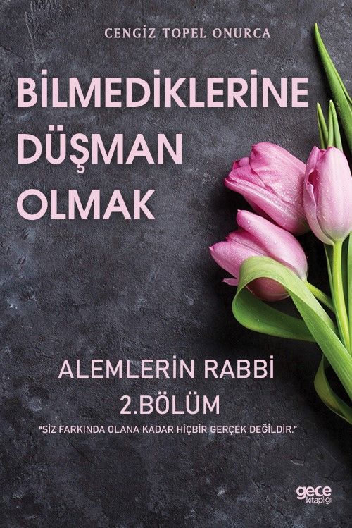 Bilmediklerine Düşman Olmak kapağı