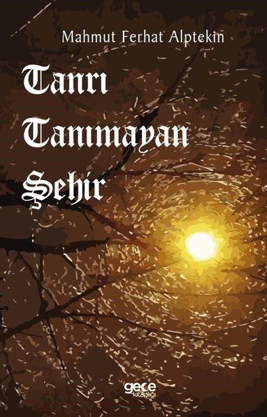 Tanrı Tanımayan Şehir kapağı