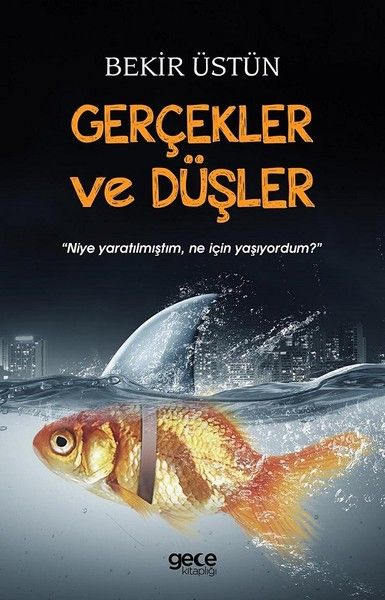 Gerçekler ve Düşler kapağı