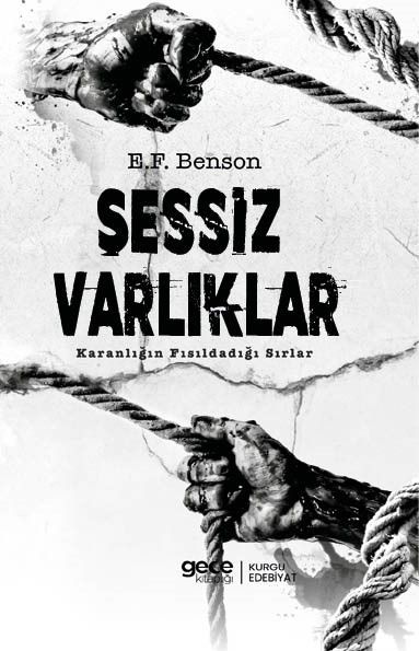 Sessiz Varlıklar kapağı