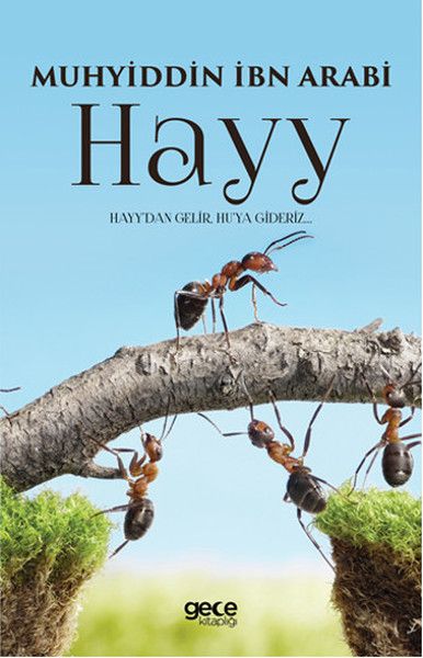Hayy kapağı