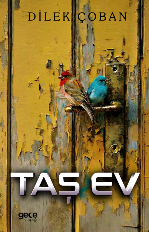 Taş Ev kapağı