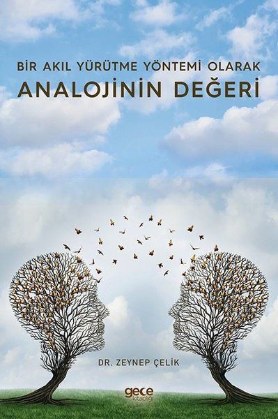 Bir Akıl Yürütme Yöntemi Olarak Analojinin Değeri kapağı