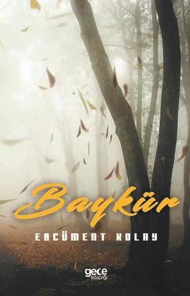 Baykür kapağı