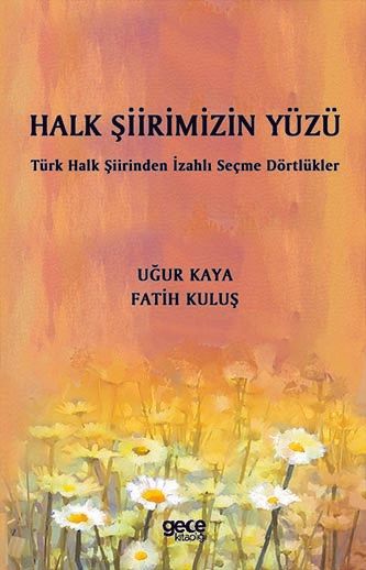 Halk Şiirimizin Yüzü kapağı