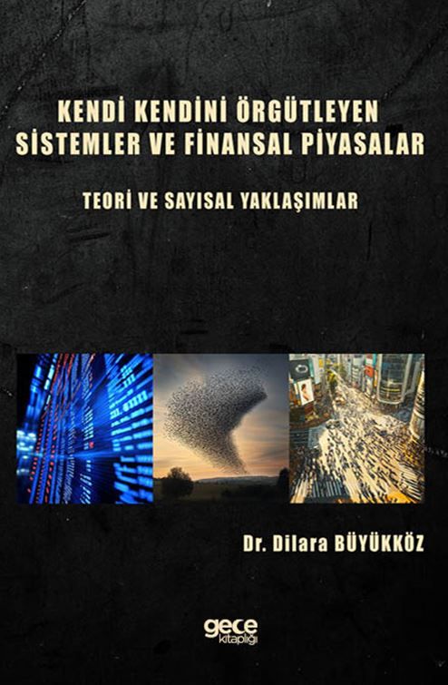 Kendi Kendini Örgütleyen Sistemler ve Finansal Piyasalar : Teori ve Sayısal Yaklaşımlar kapağı