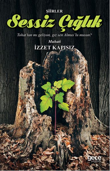 Sessiz Çığlık kapağı