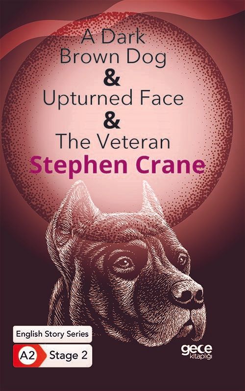 A Dark Brown Dog - Upturned Face - The Veteran - İngilizce Hikayeler A2 Stage 2 kapağı