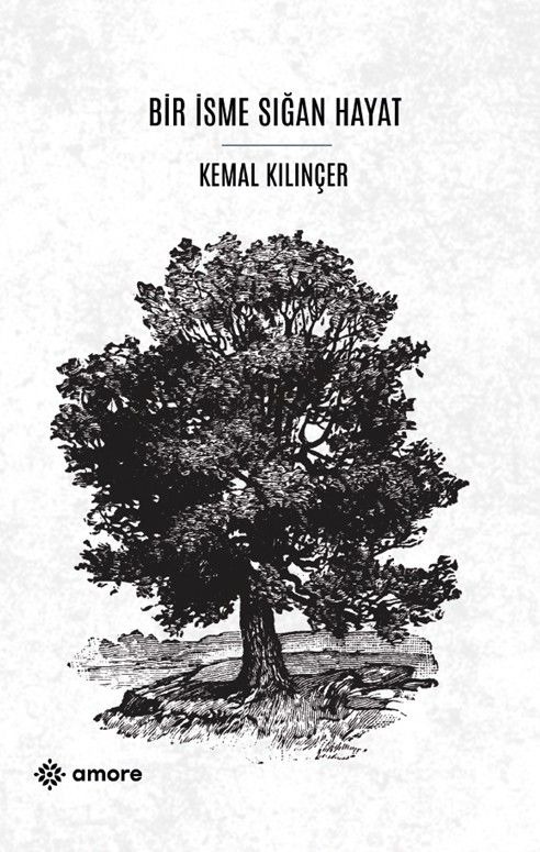 Bir İsme Sığan Hayat kapağı