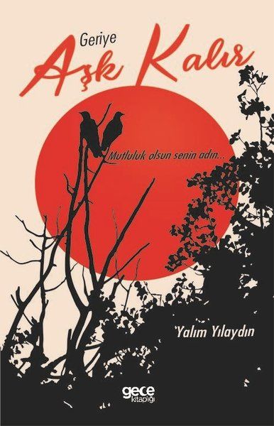 Geriye Aşk Kalır kapağı