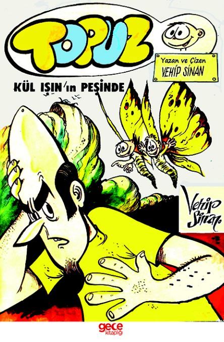 Topuz - Kül Işının Peşinde kapağı
